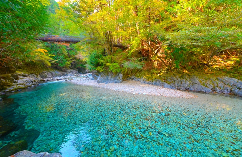 画像：阿寺渓谷の吊り橋