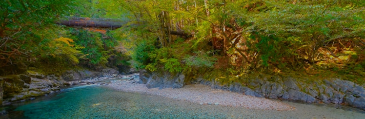 画像：阿寺渓谷の吊り橋