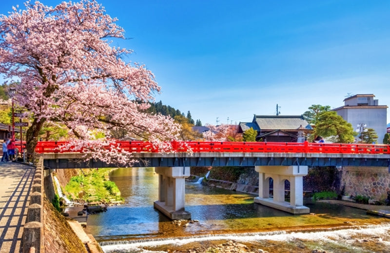 画像：宮川の赤い中橋
