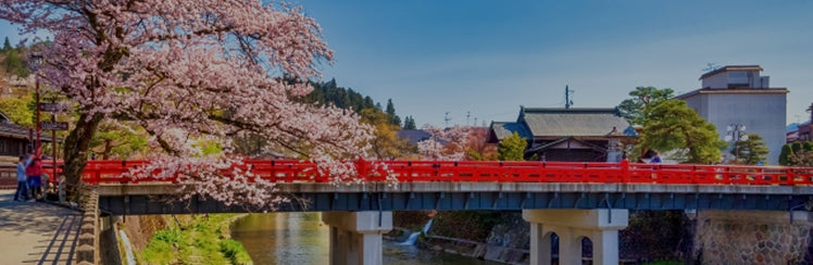 画像：宮川の赤い中橋