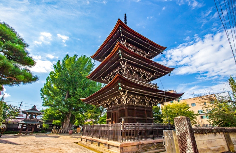 画像：醫王山飛騨国分寺