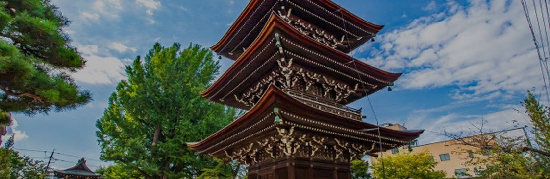 画像：醫王山飛騨国分寺